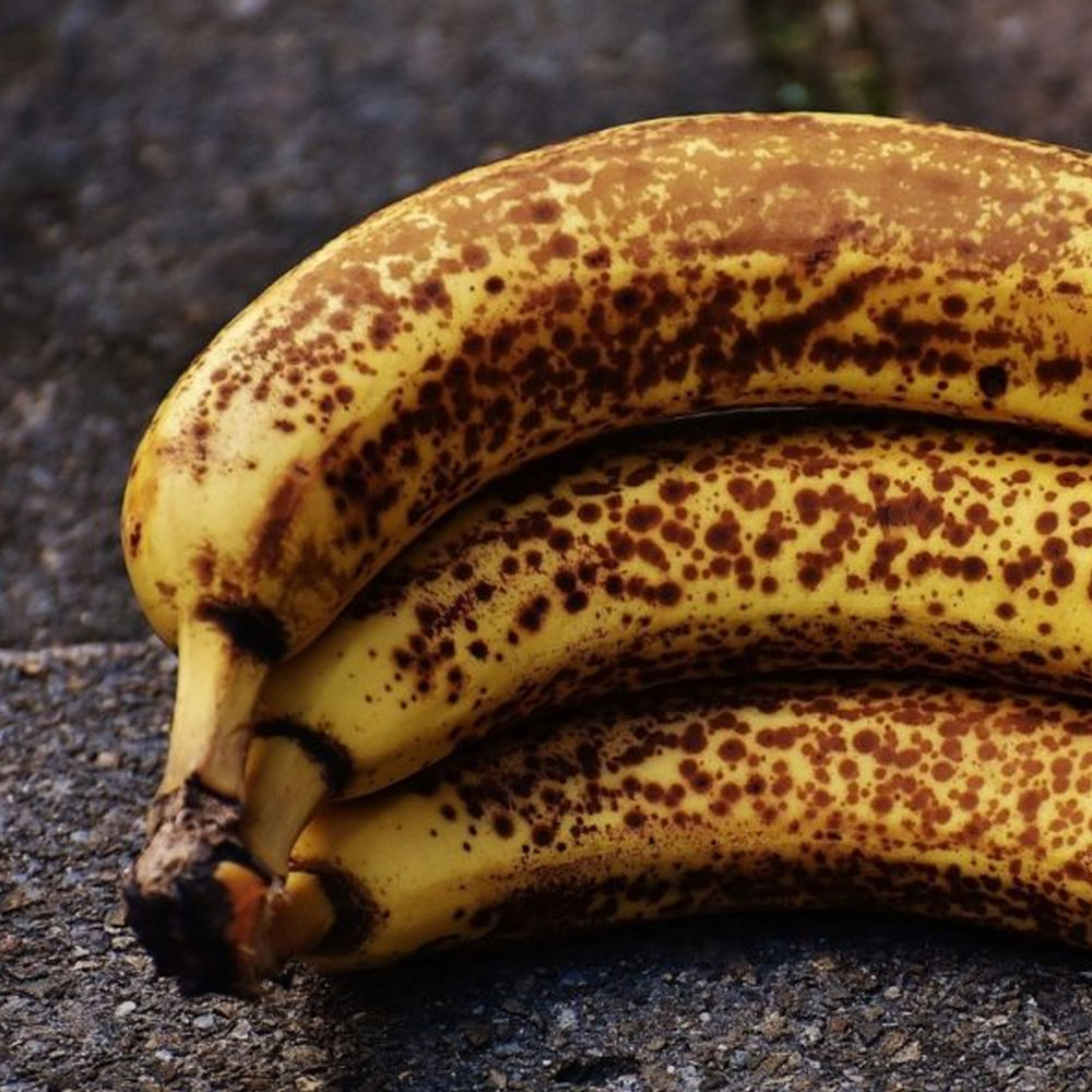 Bananes mures pour banana bread