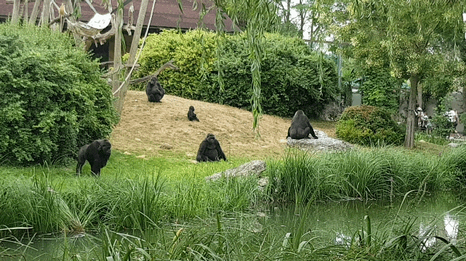 Zoo de Beauval en famille