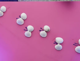 création l'envolée des papillons avec des coquillages de vacances