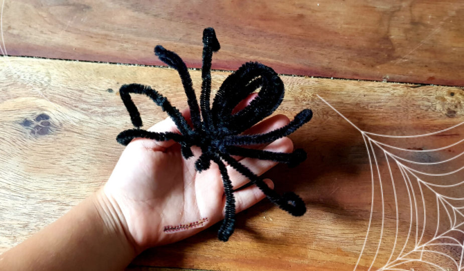 DIY araignée halloween avec fil chenille