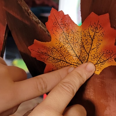 collage feuille d'automne arbre