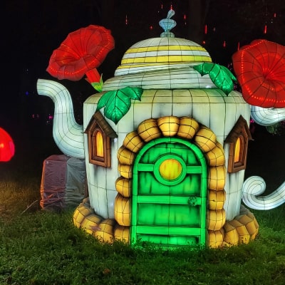 maison thé lanterne, lumières