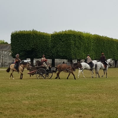 chevaux chateau de Chambord