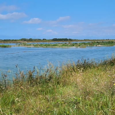 Polder de Sebastopol