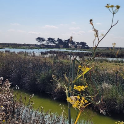 noirmoutier en famille