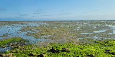 passage gois ile noirmoutier en famille