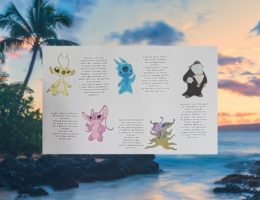 Anniversaire stitch hawaii