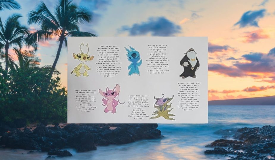 Anniversaire stitch hawaii