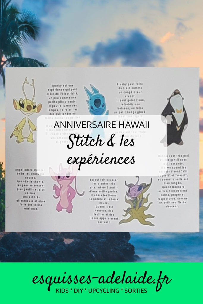 Anniversaire hawaii stitch et les expériences