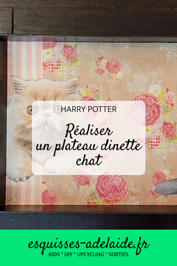 réaliser plateau dinette chat harry potter