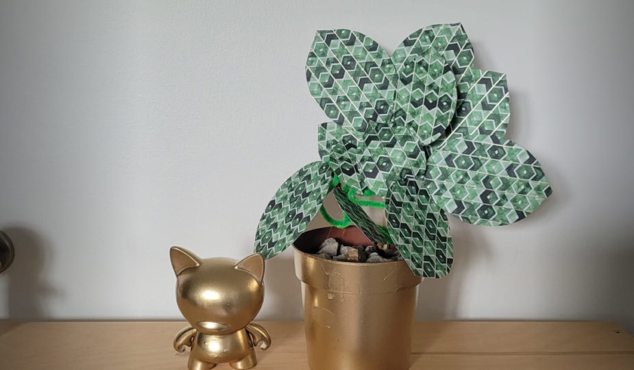 DIY enfant réaliser une plante verte