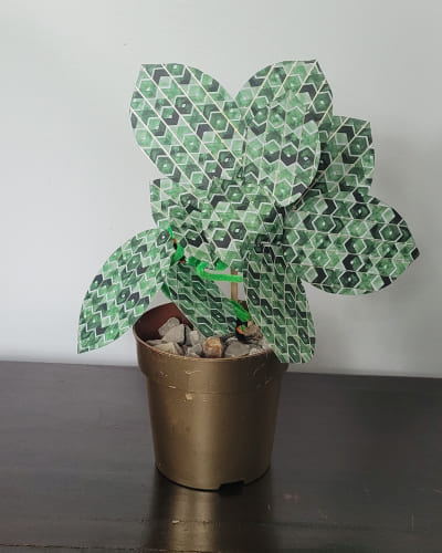 diy plante verte avec l'enfant