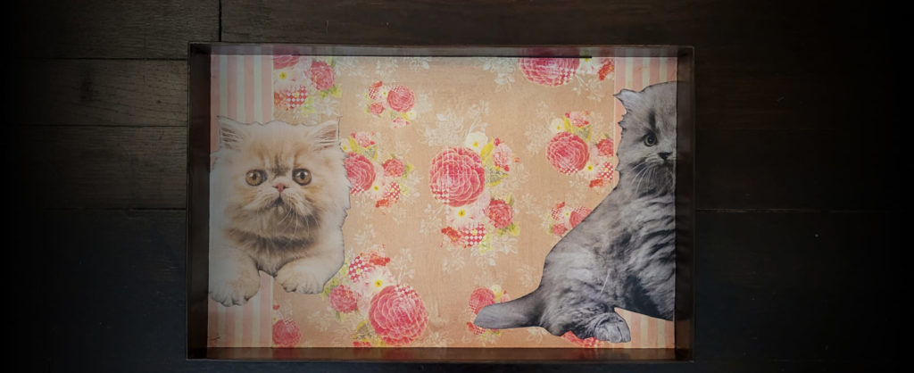 plateau dinette chat