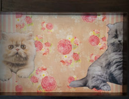 plateau dinette chat