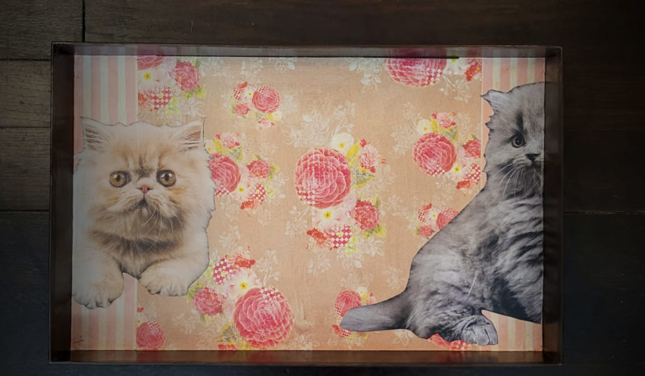 plateau dinette chat