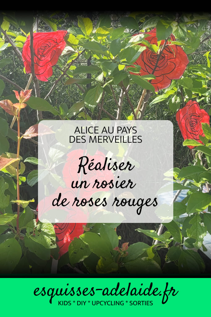 création rosier roses rouges alice au pays des merveilles
