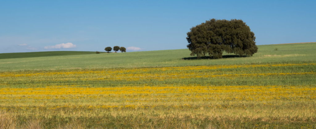 Parc Naturel régional du Vexin