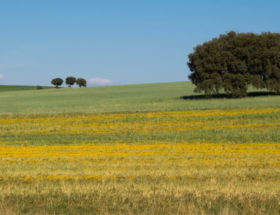 Parc Naturel régional du Vexin
