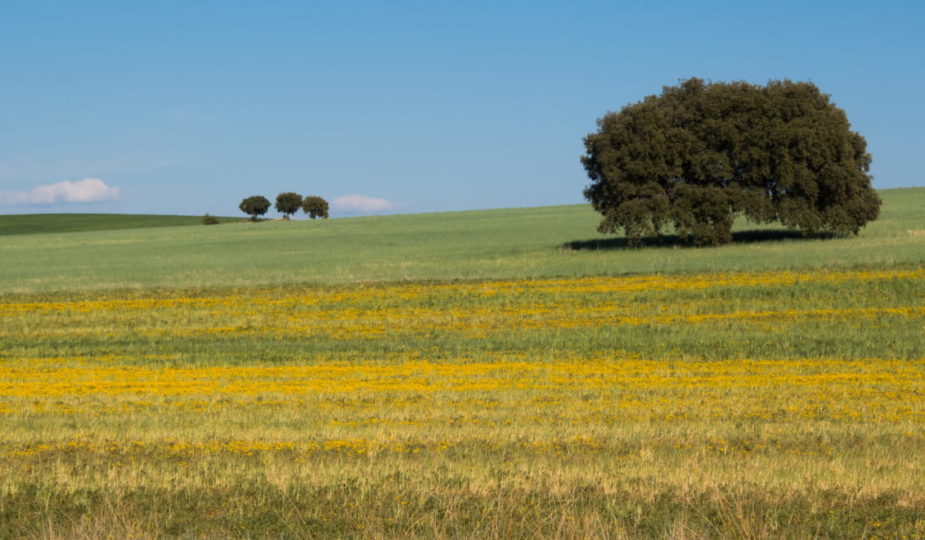 Parc Naturel régional du Vexin