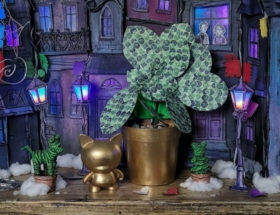 DIY plante verte sans arrosage