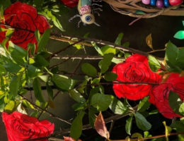 Peindre les roses en rouge - atelier enfant