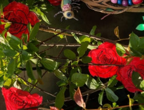 Peindre les roses en rouge - atelier enfant